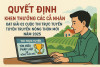 Quyết định về việc khen thưởng các cá nhân đạt giải 02 cuộc thi trực tuyến  “Tuyên truyền nông thôn mới” năm 2025 trên địa bàn tỉnh Tây Ninh